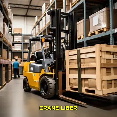 Panduan Lengkap Crane Liber untuk Proyek Konstruksi Modern